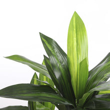 Kunstplant Dracaena H110 cm