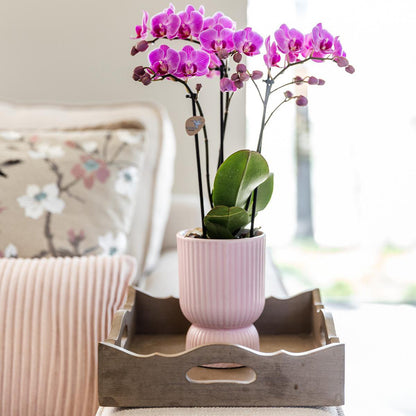 Sierpot keramiek Ø12 cm roze