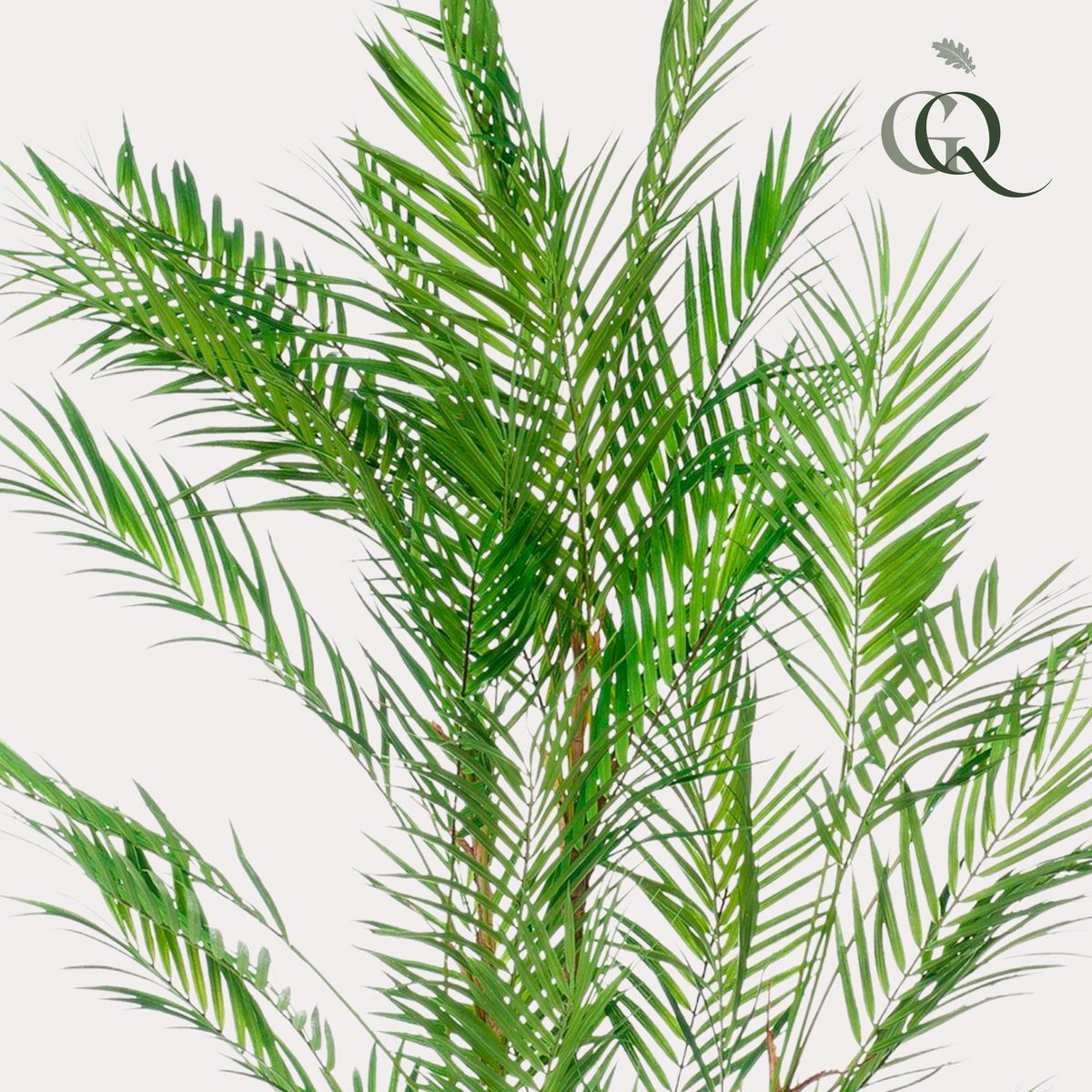 Kunstplant Bergpalm 120 cm