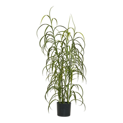 Grasplant, groen, H:68 cm