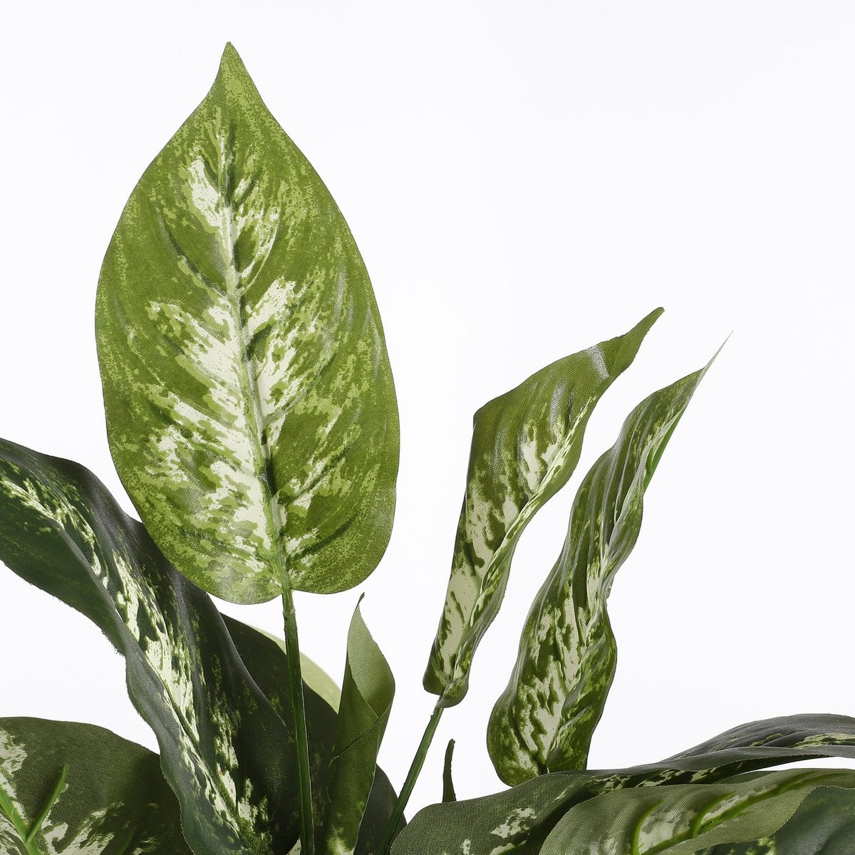 Kunstplant Dieffenbachia 70 cm groen