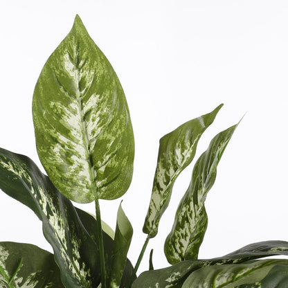 Kunstplant Dieffenbachia 70 cm groen