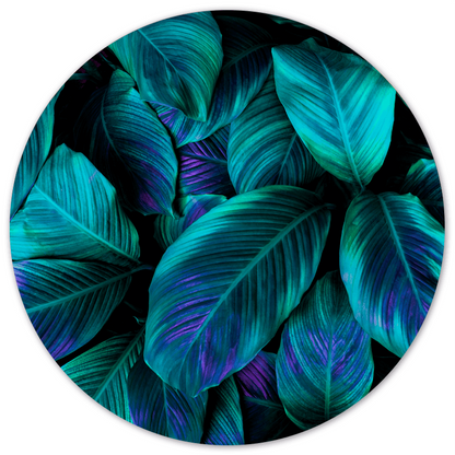 Muurcirkel green purple plant