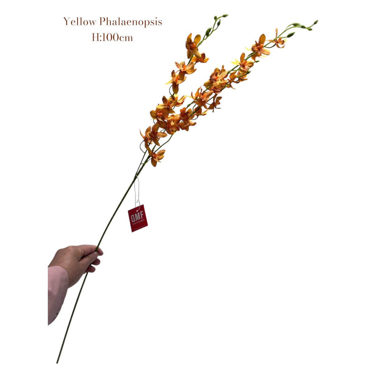 Yellow Phalaenopsis | Silk artificial flower | Length 100 1pcs