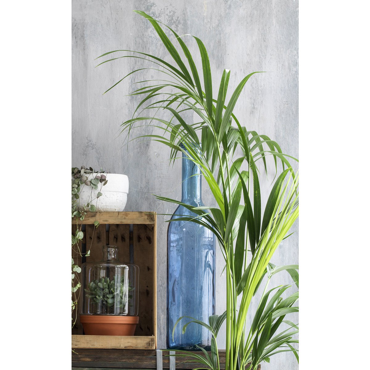 Flesvaas Rioja 50 cm lichtblauw glas