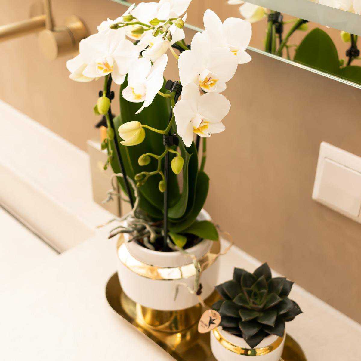 Bloempot keramiek wit Ø6 cm