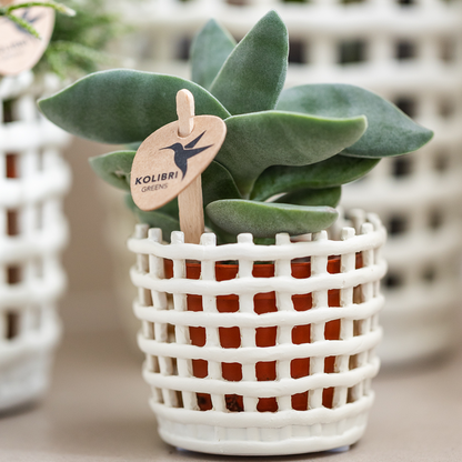 Sierpot keramiek mesh wit set van 3 (6, 9, 12 cm)
