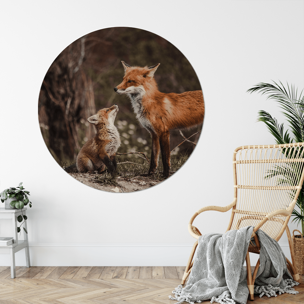 Wall circle foxes