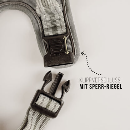 ne&no® Dog Harness with Matching Shock Absorber [DEVELOPED by NE&NO]