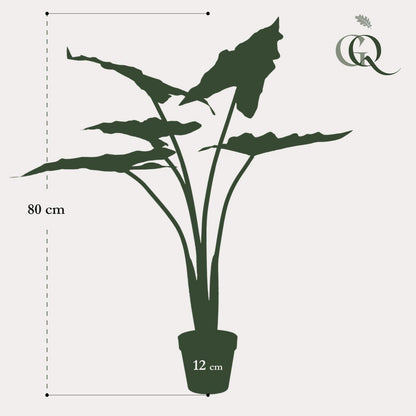Kunstplant Alocasia Frydek 80 cm