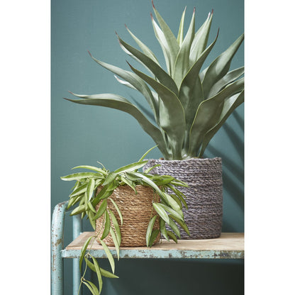 Plantenmand set zeegras lichtbruin 3 stuks