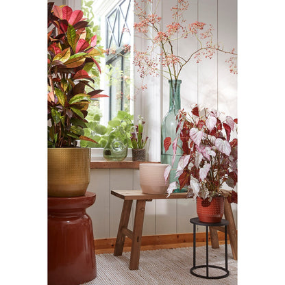 Fles vaas 100 cm gerecycled glas transparant