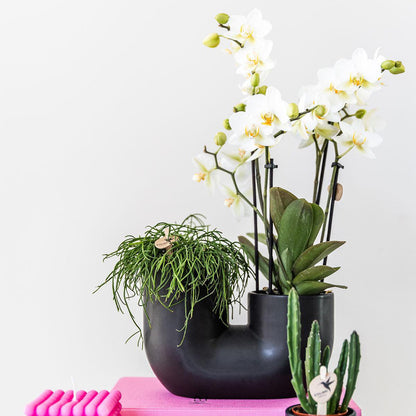 Duo sierpot keramiek voor 2x 9 cm planten