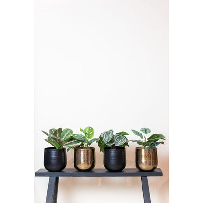 Artificial plant - Scindapsus Pictus - Lucky plant - 30 cm