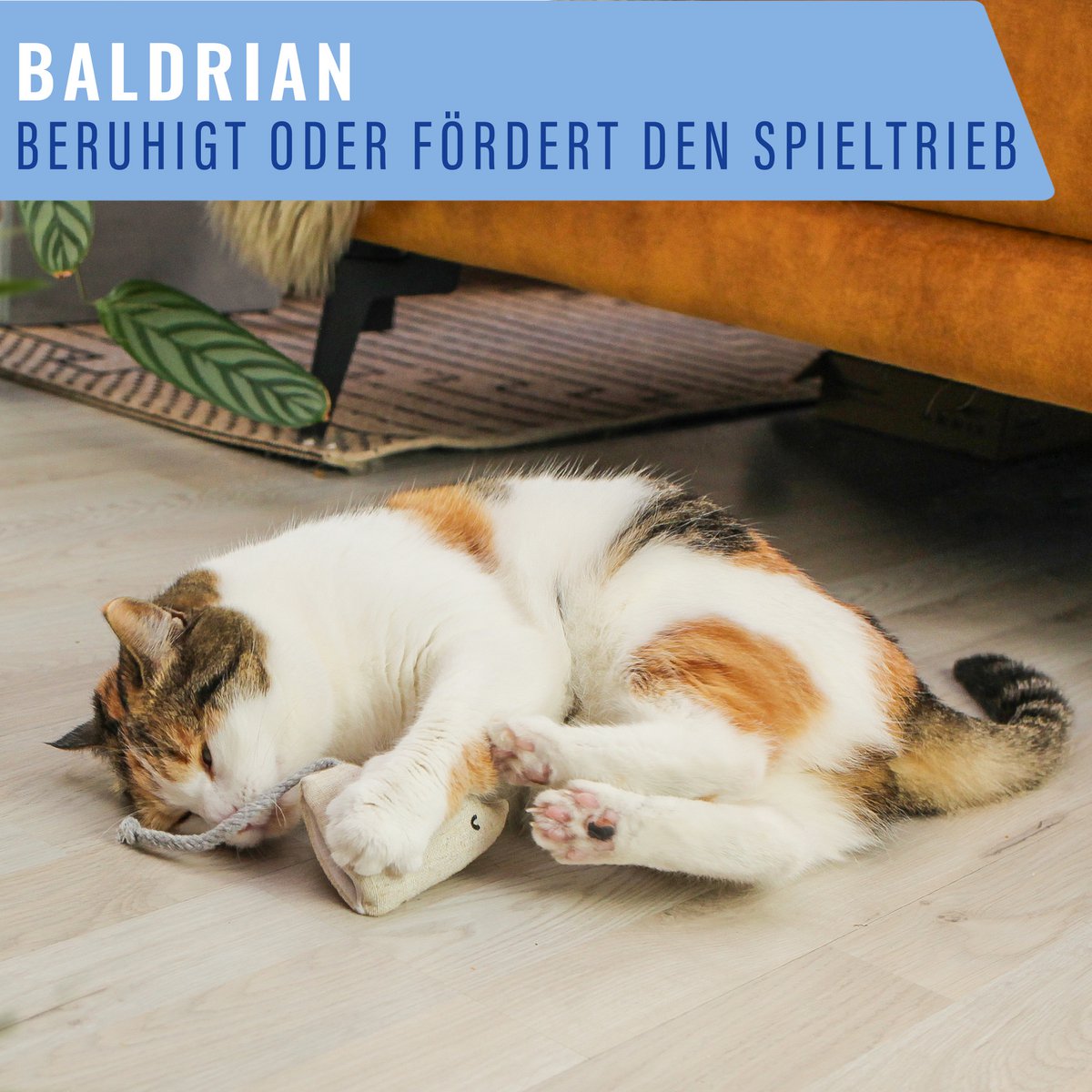 Kattenkruid of valeriaan refill zakjes 18 stuks