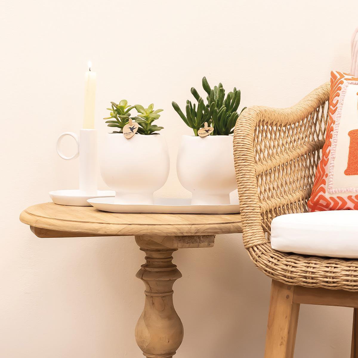 Oval Metal Tray for Decoration and Plants