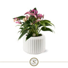 Sierpot keramiek 16 cm glanzend wit ribpatroon