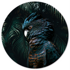 Wall Circle L2X Cockatoo
