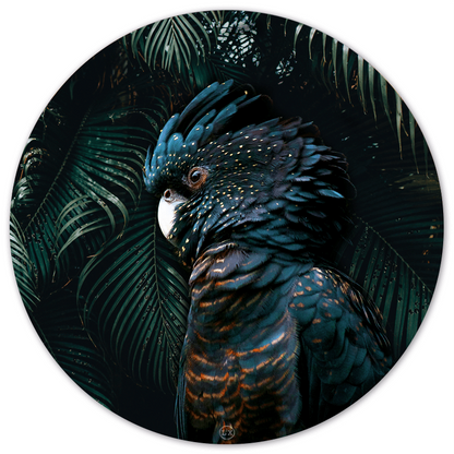 Wall Circle L2X Cockatoo