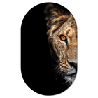Wall oval lioness