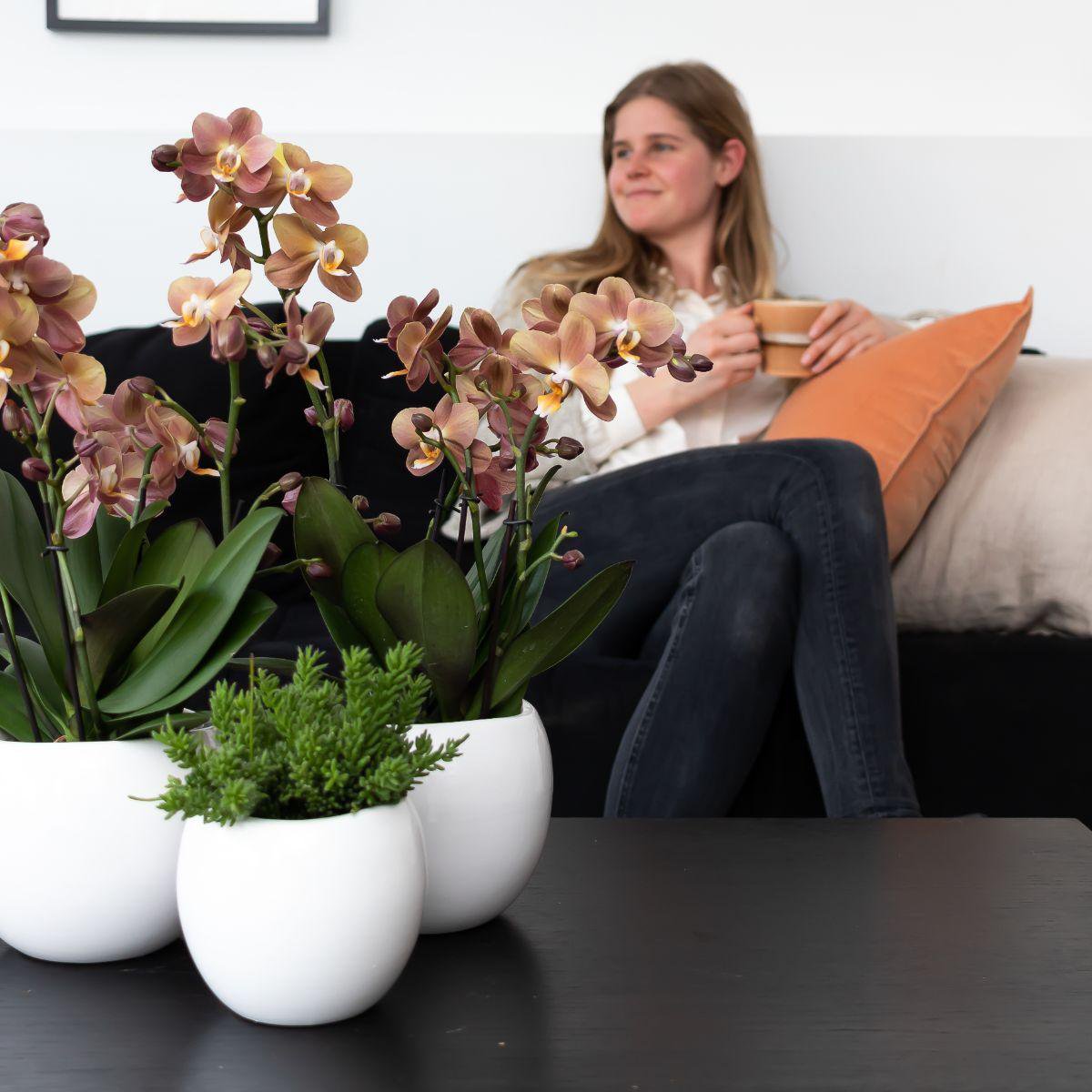 Bloempot keramiek wit Ø6 cm