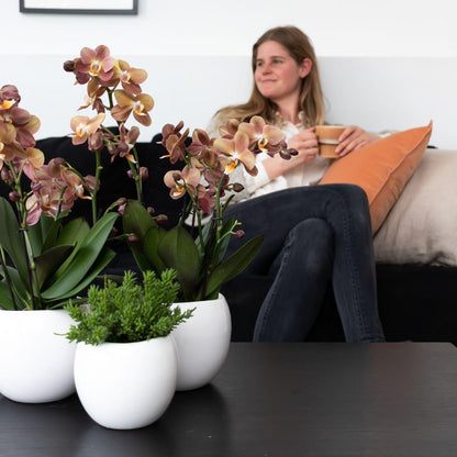 Bloempot keramiek wit Ø6 cm