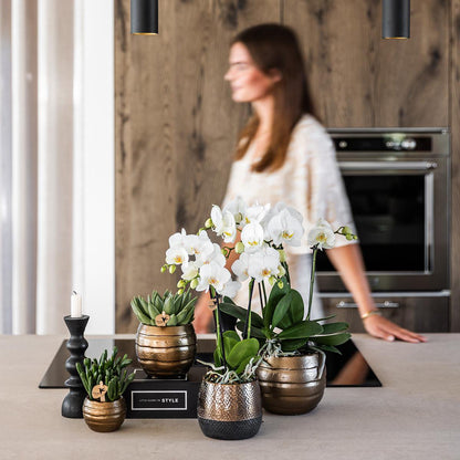 Plantenpot keramiek Ø9 cm koperkleurig