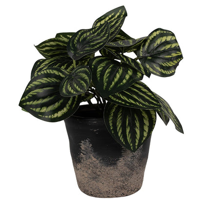 Bloempot Ø 12x11 cm grijs keramiek
