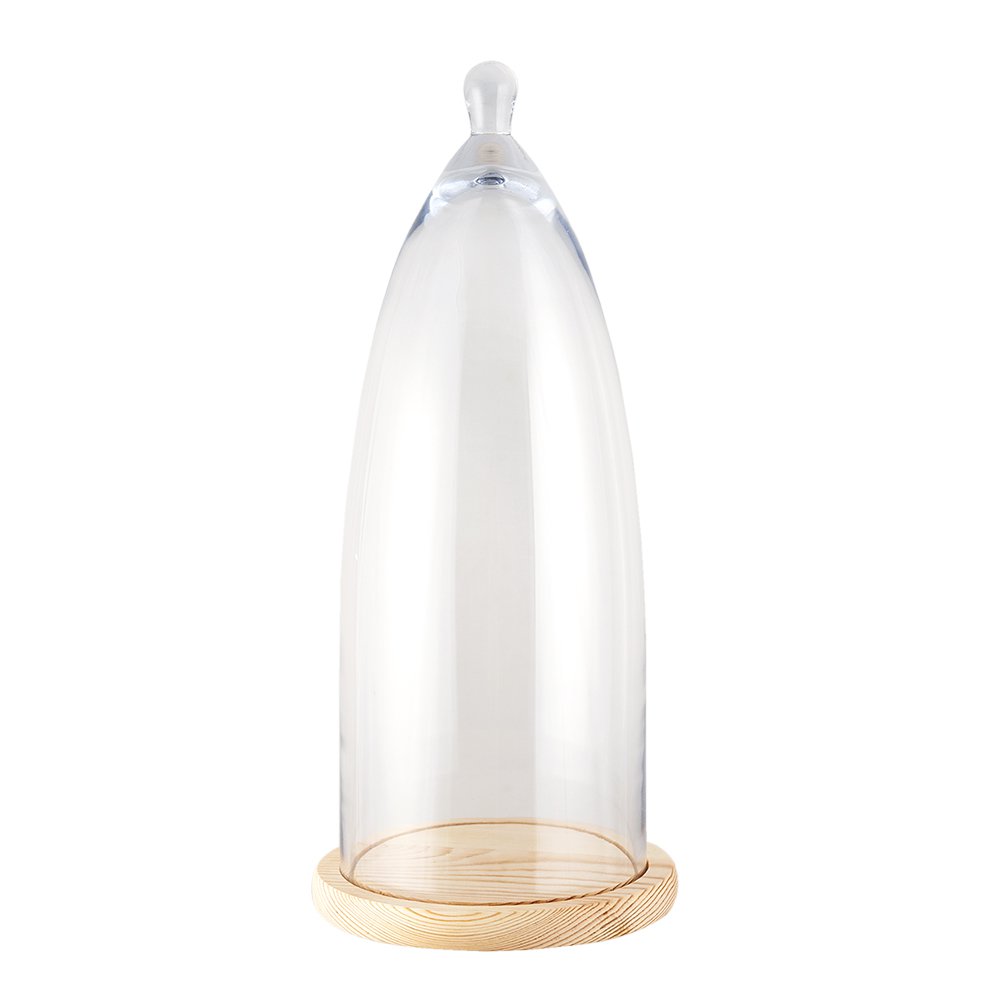 Glazen stolp 24x56 cm hout