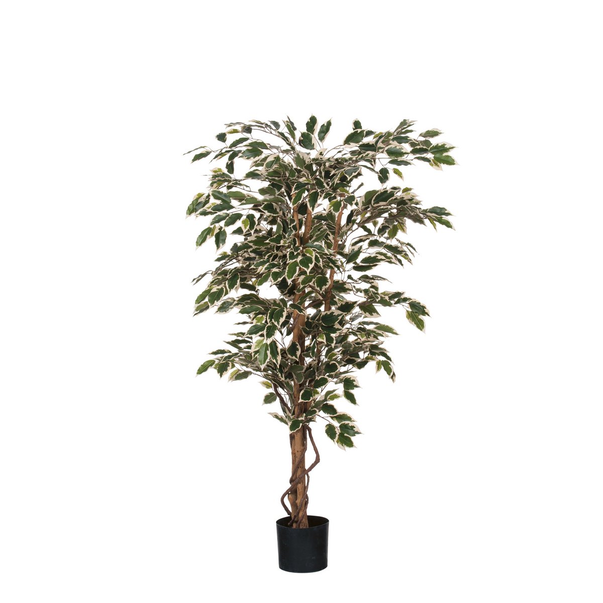 Kunstplant Ficus H150xØ75 cm groen