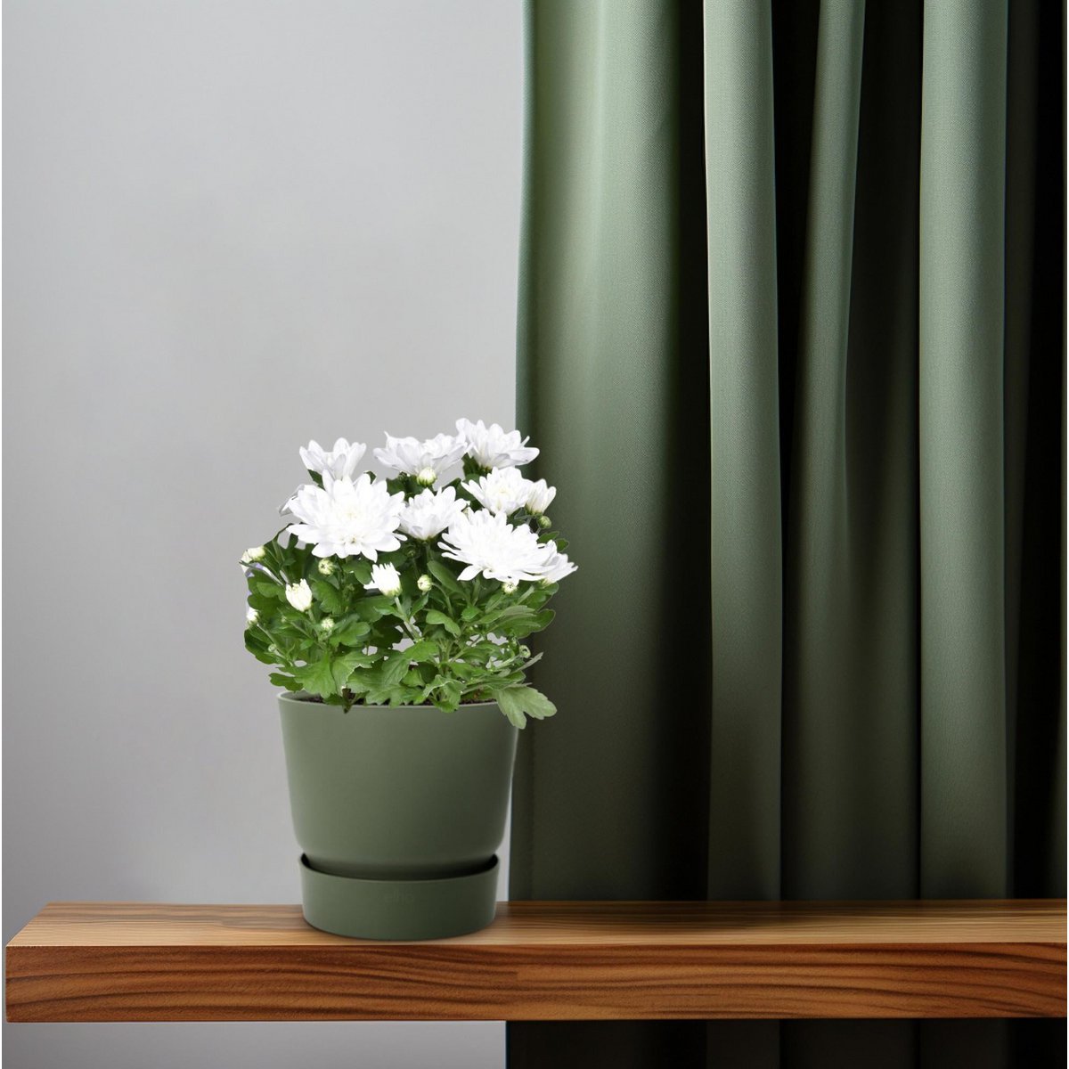 Chrysant kussen Ø12cm 26cm wit