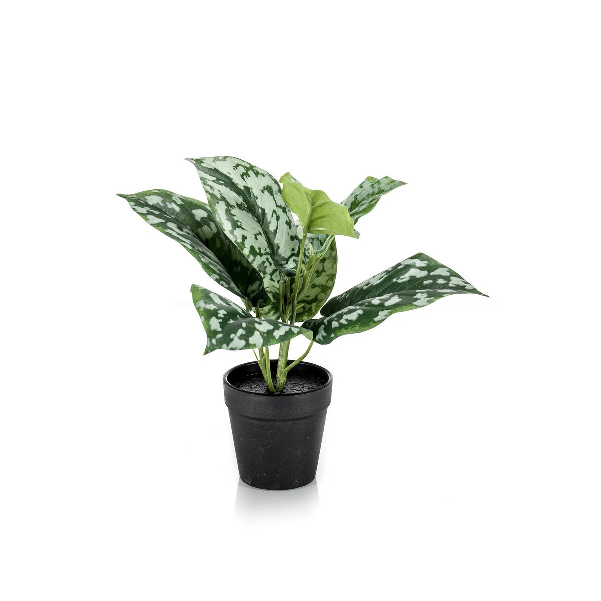 Artificial plant - Scindapsus Pictus - Lucky plant - 30 cm