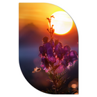 Wanddecoratie Drip Leaf 13x20 cm Dibond zwart