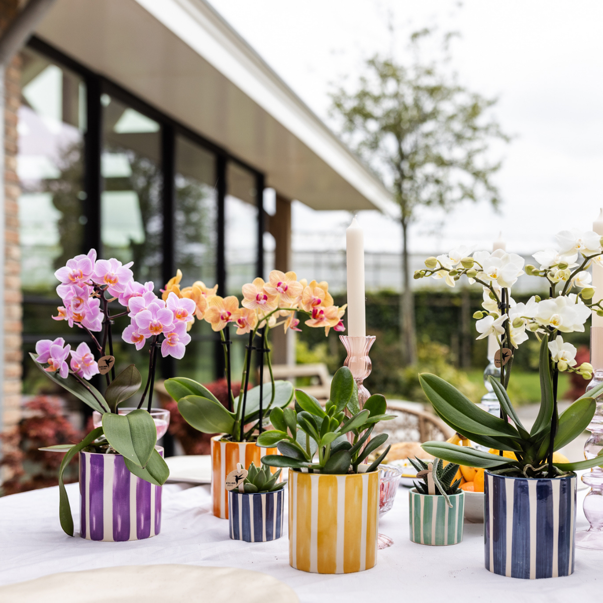 Sierpot keramiek Ø9 cm lila gestreept