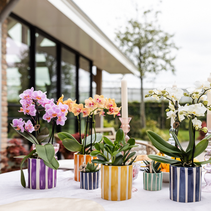 Sierpot keramiek Ø9 cm lila gestreept