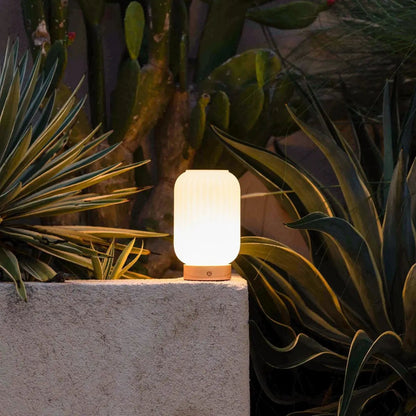 Tafellamp Lilly matglas houten voet dimbaar 3 lichtmodi