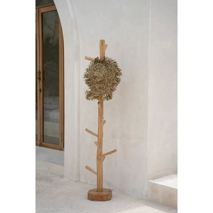 Hanger Natural Teak Wood With Luxury Premium Finish