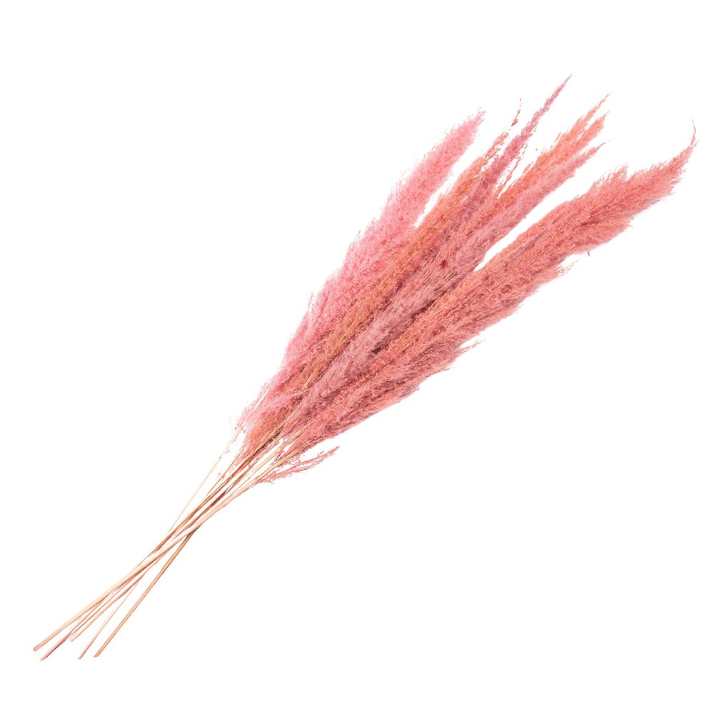 Droogboeket 100 cm roze gras