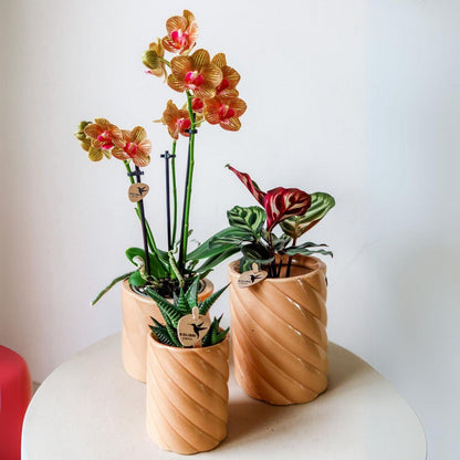 Ceramic Decorative Pot Candy Peach Ø9 cm