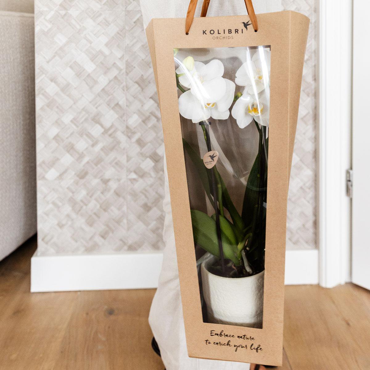 Cadeautasje orchidee 9 cm pot wit