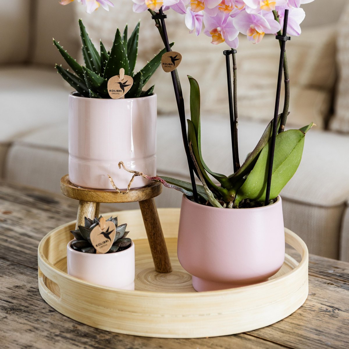 Plantenstandaard hout rond 12 cm