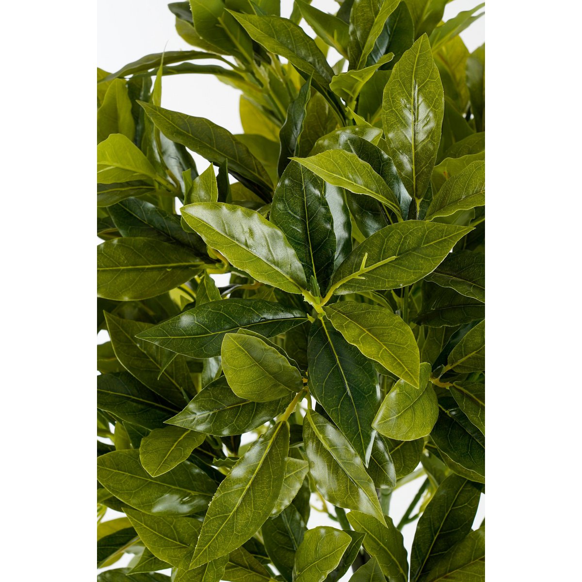 Kunstplant Laurier 120 cm groen