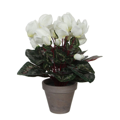 Kunstplant Cyclamen wit 30x30 cm