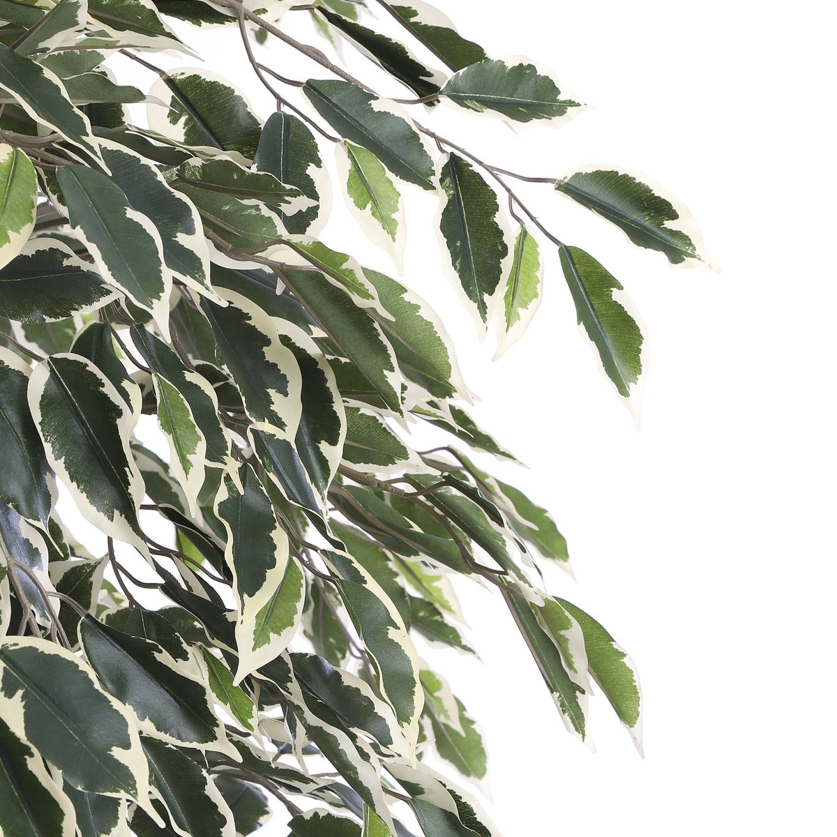 Kunstplant Ficus Groen