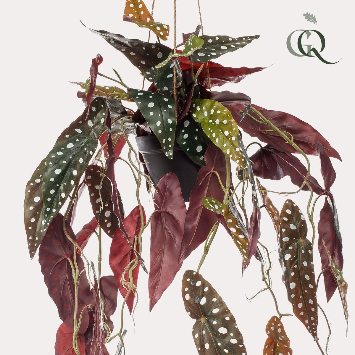 Kunstplant Begonia Maculata 80 cm