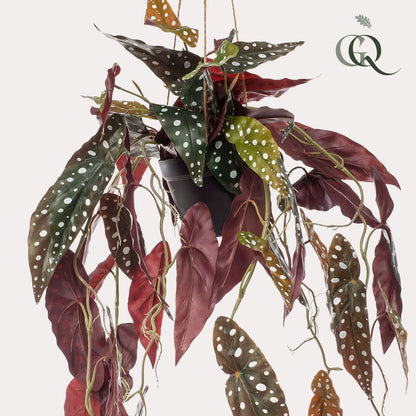 Kunstplant Begonia Maculata 80 cm