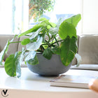 Plantenpot set van 2 grijs polyester 33x15 cm
