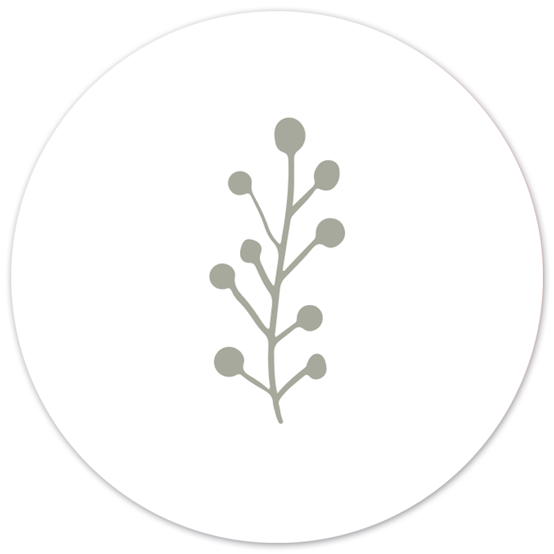 Muurcirkel leaf 40 cm wit Dibond