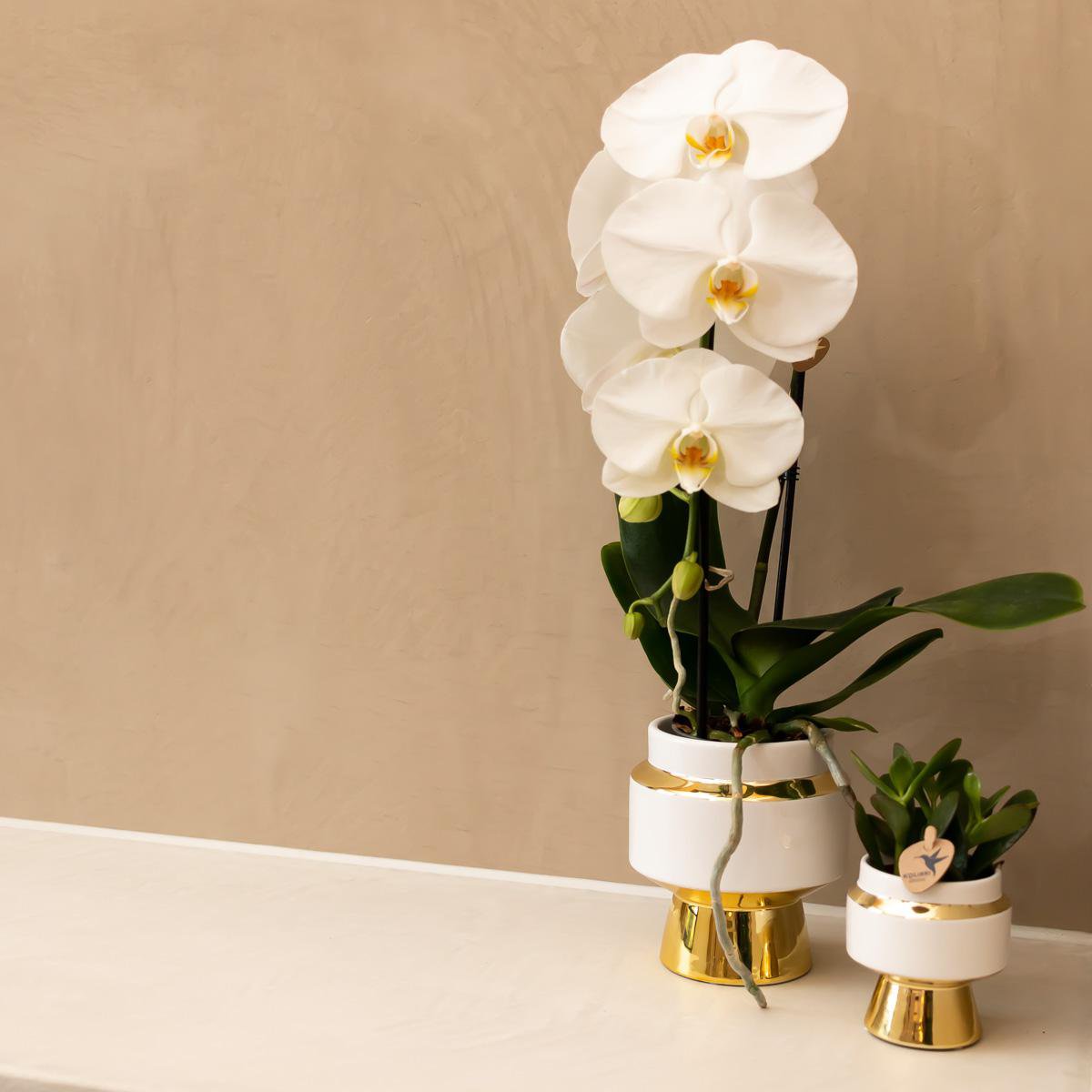 Bloempot keramiek wit Ø6 cm