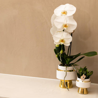 Bloempot keramiek wit Ø6 cm